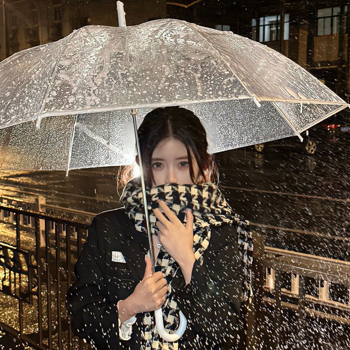 安妮·雪莉
